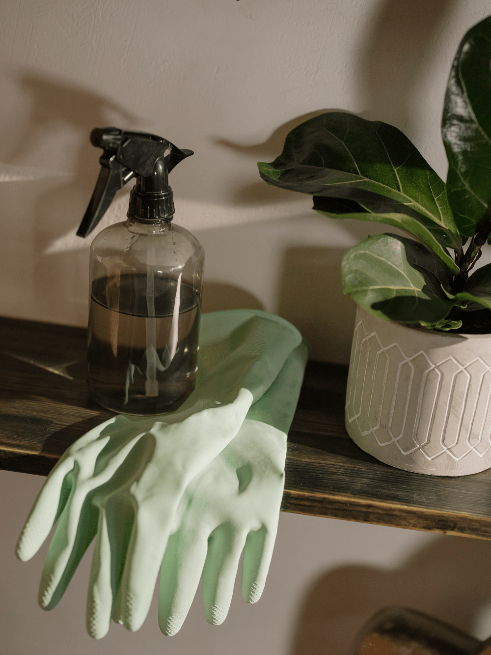 spring cleaning supplies in a home